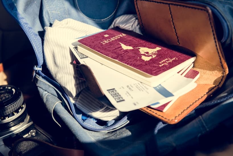 Consent to background checks, including legal, medical, and social history reviews, if requested by IQLIQ Live.